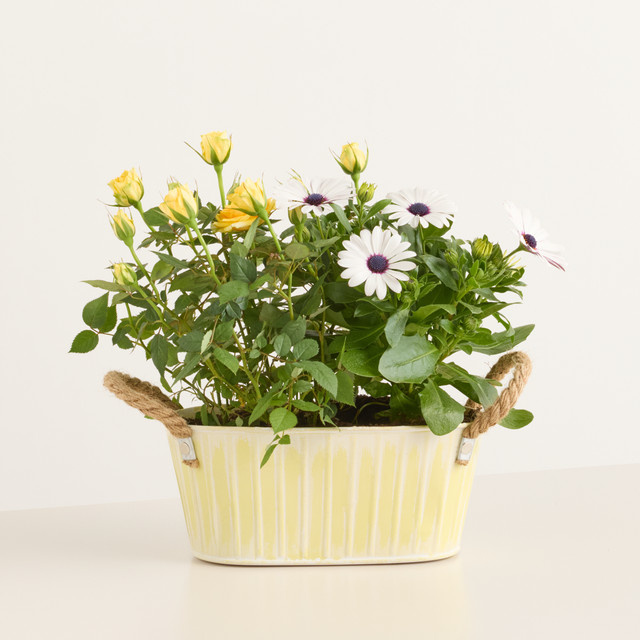 BLUME2000 Frühlingsgarten Pflanztopf für Balkon und Terrasse in Gelb, Weiß und Mehrfarbig - Bild 1