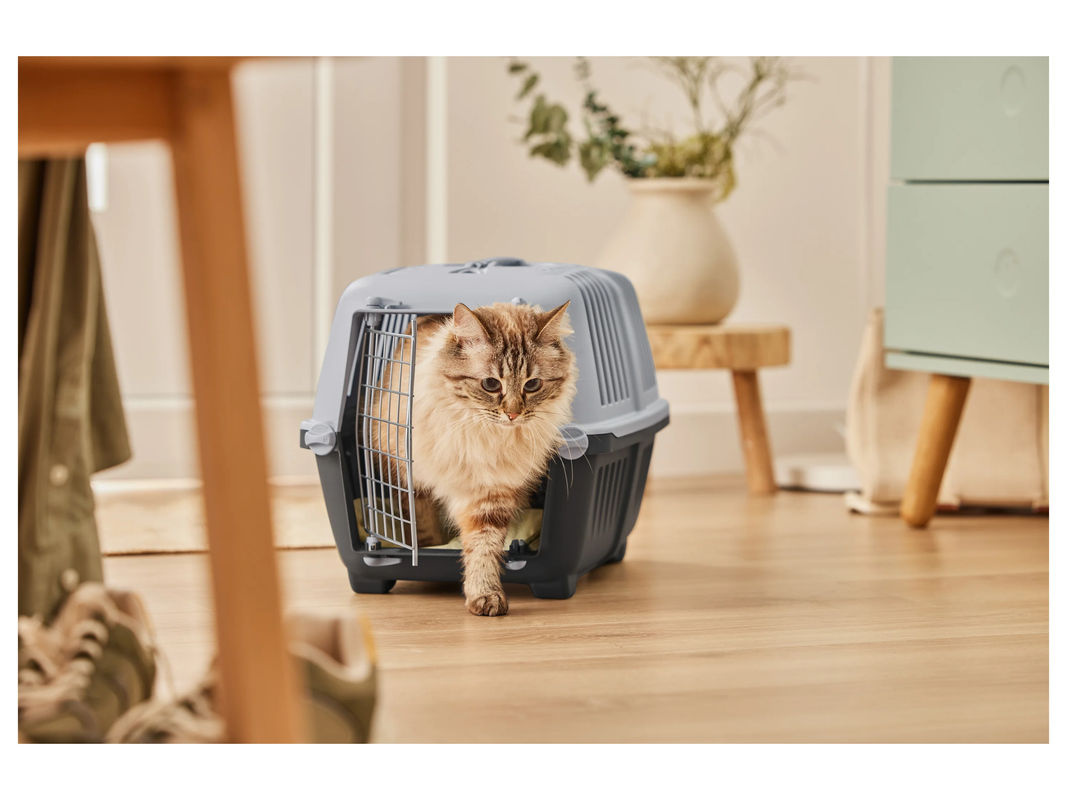 ZOOFARI Katzentoilette und Transportbox aus Kunststoff in Grau - Bild 3