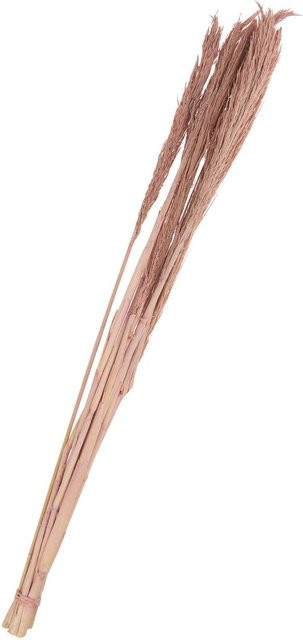 Trockenblumen Sanmuga Grass von Othmar Decorations in Pink aus Naturmaterial - Bild 1