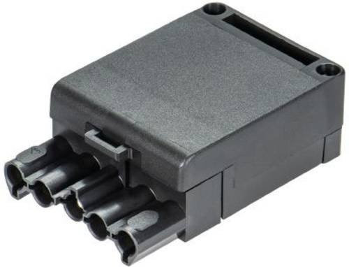 Wieland Electric 93.731.4553.0 Buchsengehäuse in Schwarz - Bild 1