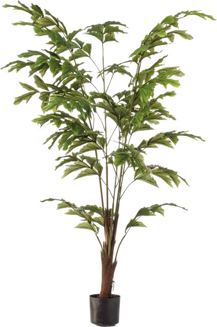 Künstliche Fischschwanzpalme Nayla von Aplanta, Höhe: 155 cm - Bild 1