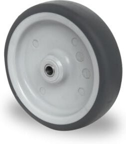 CASCOO Rad Serie P2T2 mit Gleitlager aus Edelstahl in Grau, Durchmesser: 125 mm - Bild 1