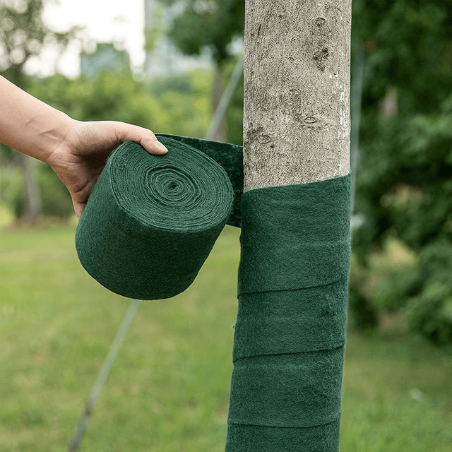 Grüne Baumschutzfolie als Frostschutzverband für Baumstämme und Strauchpflanzen, Breite: 12 cm, Länge: 5 m - Bild 1