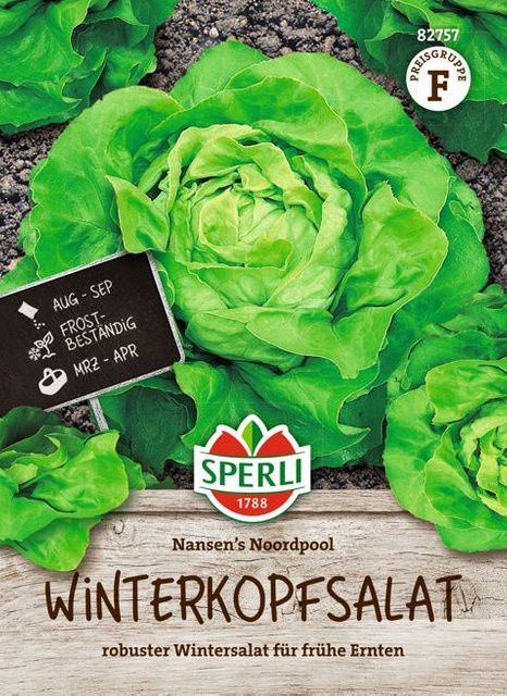 SPERLI Winterkopfsalat-Samen Nansen's Noordpool, Grüne Gemüsesaat für den Garten - Bild 1