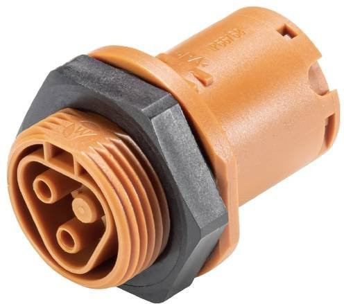 Wieland Electric 96.021.1051.4 Geräteanschluss - Bild 1