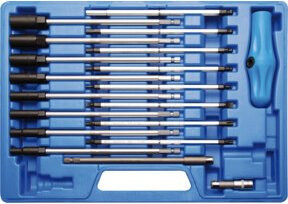 BGS T-Griff-Schraubendreher- und Steckschlüssel-Satz mit Torx in Blau, 19-teilig - Bild 1