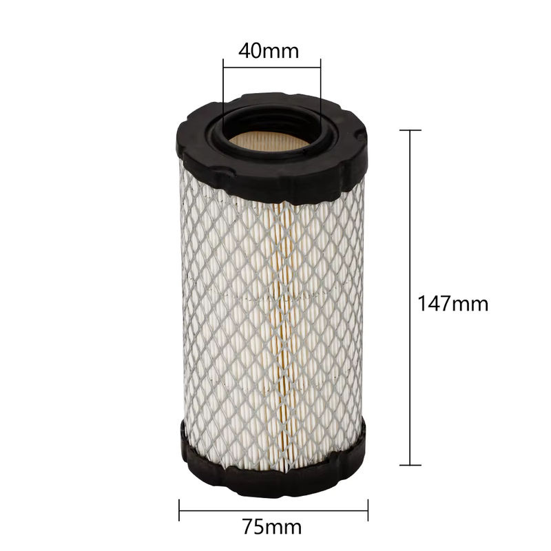 Xcan Luftfilter für Briggs & Stratton 793569 GY21055 MIU11511 Gartenwerkzeug Zubehör - Bild 2