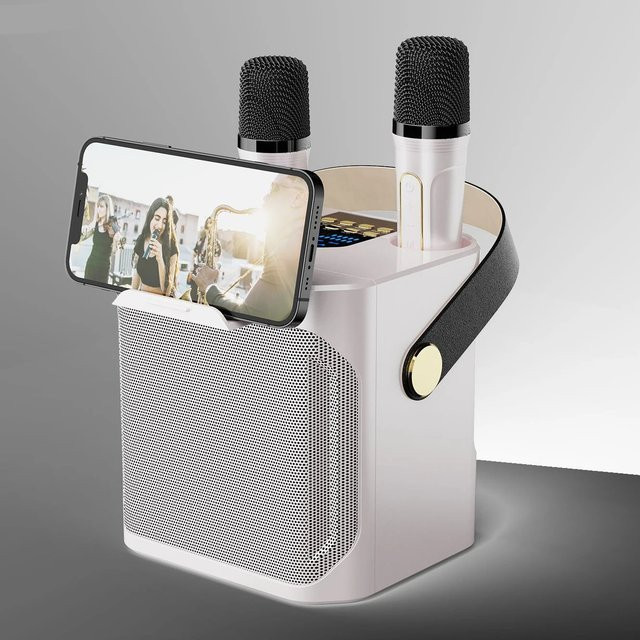 AyeBeau Tragbarer Bluetooth Karaoke-Lautsprecher mit Subwoofer und Mikrofon in Schwarz - Bild 1