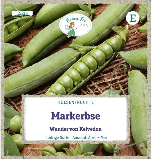 Grüne Fee Markerbse Wunder Von Kelvedon Saatgut - Bild 1
