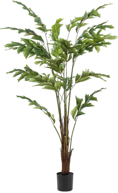 Künstliche Fischschwanzpalme Nayla von Aplanta, Höhe: 135 cm - Bild 1