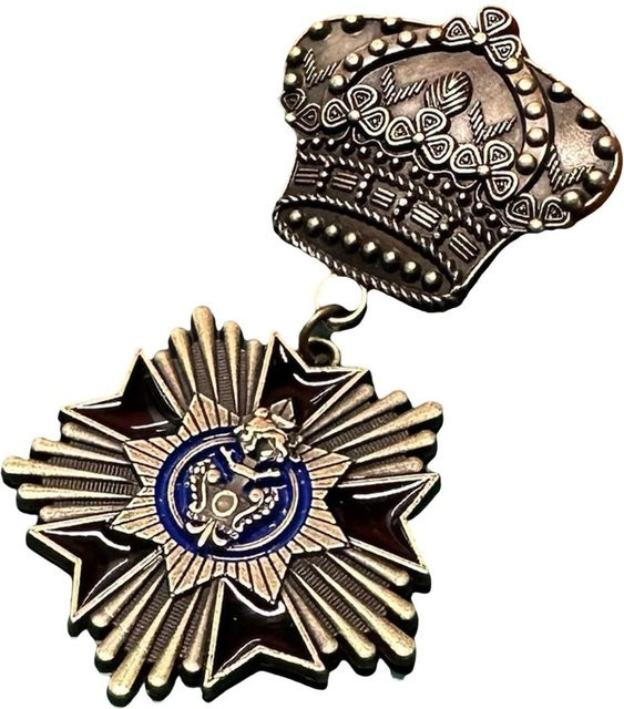 Metallanstecknadel, Vintage Militär-Enthusiasten Medaille, Unisex - Bild 1