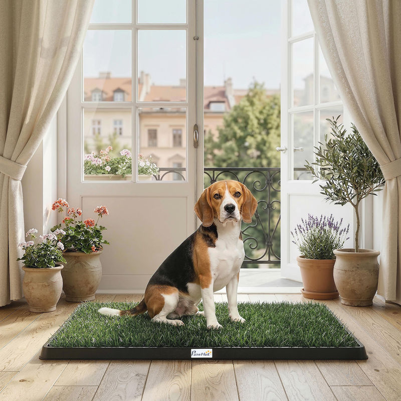 PawHut Hundetoilette mit 2 waschbaren Kunstrasen in Schwarz und Grün, B: 76 cm, T: 50,5 cm - Bild 2