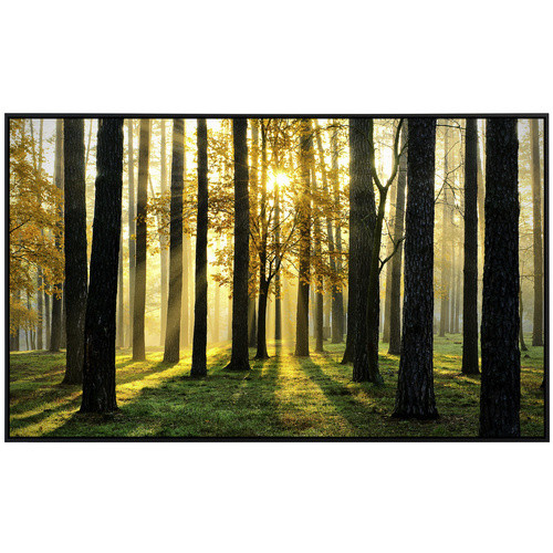 papermoon Infrarotheizung EcoHeat Sonniger Wald mit Matt-Effekt in Bunt, App-Steuerung und Überhitzungsschutz, B/H/T: 60 x 50 x 50 cm - Bild 2