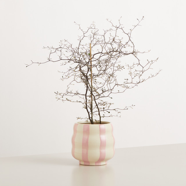 Keramik Übertopf Green Living BLUME2000 gestreift Weiß/Rosa Höhe: 14,5 cm, Breite: 14 cm, Tiefe: 15,5 cm - Bild 1