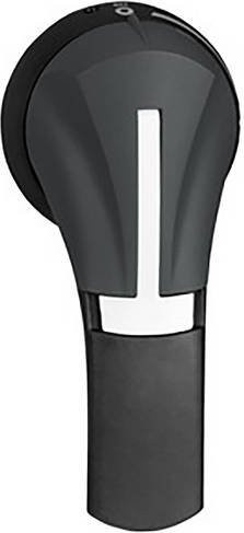 Schneider Electric GS2AH330 Handgriff in Schwarz - Bild 1
