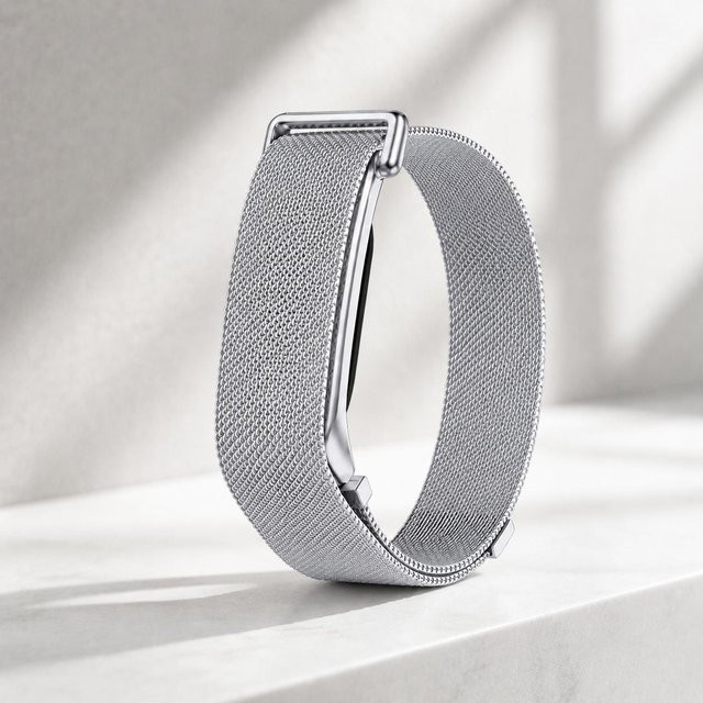Fitbit Smartwatch-Armband Edelstahl, Silber, Unisex - Bild 1