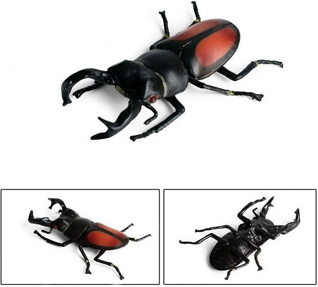 Binchi Outdoor Product Dynastes Insektenfiguren, Actionfiguren, ab 2 Jahren - Bild 1