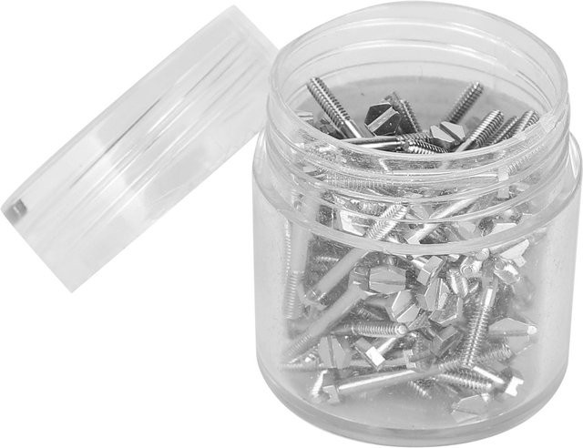 DIYelecs Reparatur-Schraubenset mit Schlitz Flachkopf Schrauben für Uhren und Handys, 100 Stück, Weiß - Bild 1