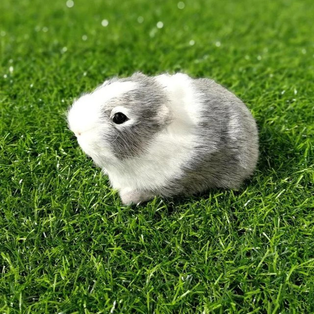 Kidsly Meerschweinchen Plüschtier, grau, ab 14 Jahren - Bild 1