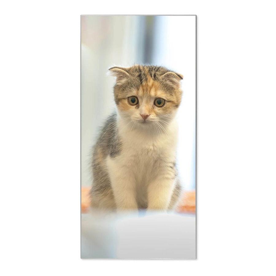 Banjado Magnettafel aus Metall in Silber mit Motiv Kleine Katze, B/H: 78 x 37 cm, inklusive 4 Magneten - Bild 1