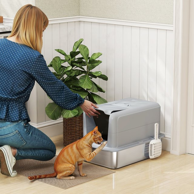 PawHut Katzentoilette aus Edelstahl und Kunststoff in Weiß mit Deckel, Streufilter und Streuschaufel, B/T/H: 60,5 x 40,5 x 41,5 cm - Bild 1