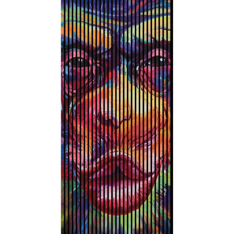 FN Acustico Akustikplatte Monkey 1 in Bunt, foliert mit PET und MDF, H x B x T: 2.400 x 1.133 x 19 mm - Bild 2