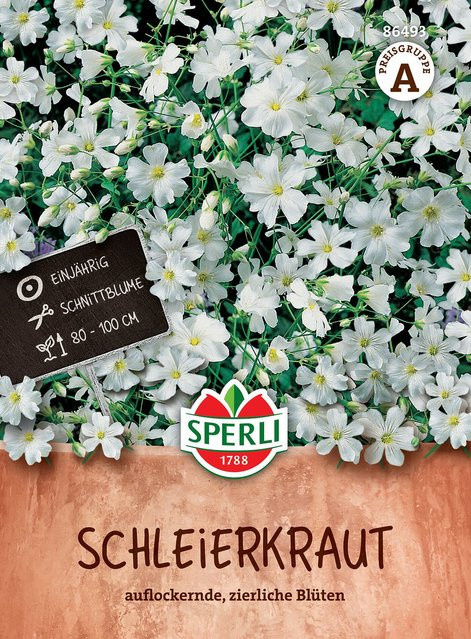 SPERLI Schleierkraut-Samen Weiß für Garten und Zierpflanzen - Bild 1