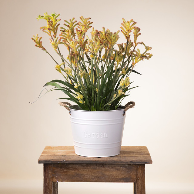 Blume2000 Zink Eimer mit Garden Schriftzug in Taupe, Durchmesser: 26 cm - Bild 1