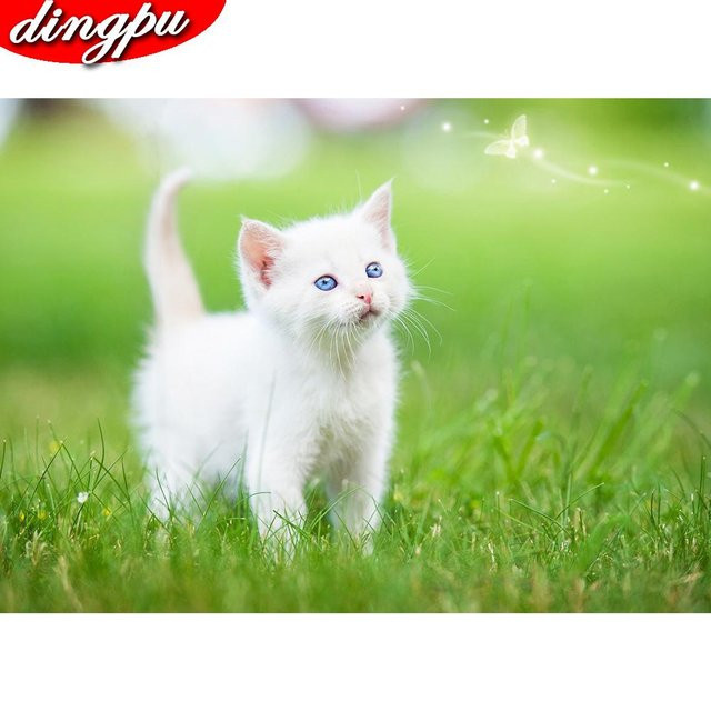 FIYO 5D Diamantmalerei Katze DIY Stickerei Set in Weiß, Breite: 30 cm, Höhe: 20 cm - Bild 1