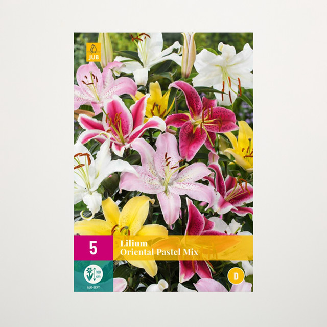 Orientalische Lilien Pastel Mix von BLUME2000 mit 5 Knollen - Bild 1