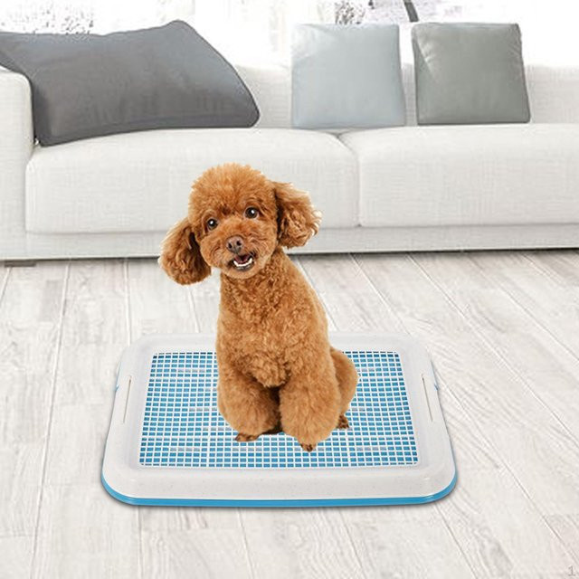 SunshineTek Hund Töpfchentraining Tablett mit abnehmbarem rutschfestem Netz, Blau, B: 47 cm, T: 35 cm - Bild 1
