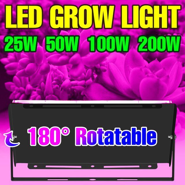CanLing 200W LED Vollspektrum Pflanzenlampe für Gewächshaus und Zelt zur Beleuchtung von Gemüse, Blumen, Sukkulenten und Kakteen - Bild 1