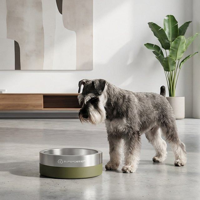 SUPERDESIGN Edelstahl-Tiernapf als Anti-Knock Slow-Food-Napf für Hunde und Katzen in Silber und Grün - Bild 1