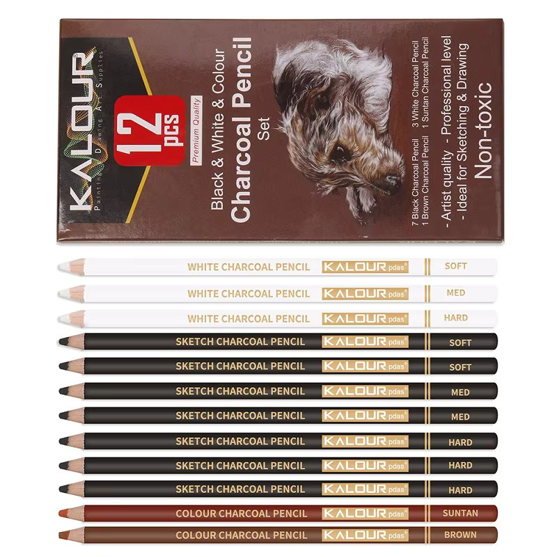 Professionelles Carbon Bleistift Set für Skizzen und Schattenmalerei in Graphit und Weiß für Künstler und Anfänger - Bild 3