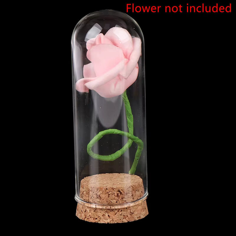 Runde Glas-Glaskuppel mit Holzbasis und Kork für 1/6 Puppen Display und Dekoration, transparent und braun - Bild 4