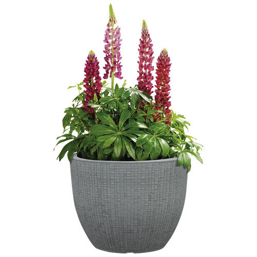 Scheurich Pflanzgefäß Barceo Grau Durchmesser: 47 cm, Höhe: 36 cm - Bild 2