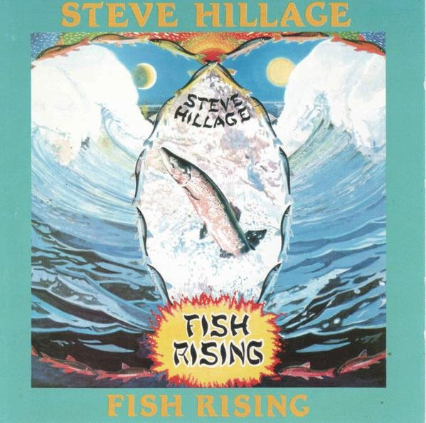 Steve Hillage Fish Rising CD Rock Virgin Europe Grau Gebraucht - Bild 1