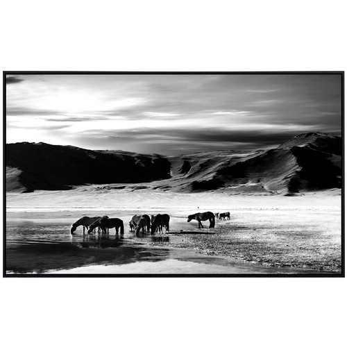 papermoon EcoHeat Infrarotheizung Landschaft Schwarz Weiss mit Matt-Effekt und App-Steuerung - Bild 2