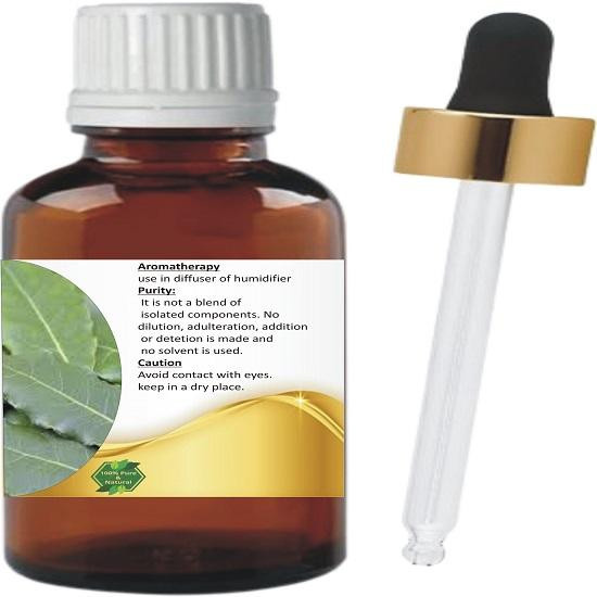 Levenmooi Ätherisches Lorbeerblatt Öl, natürliches Lorbeeröl in therapeutischer Qualität, 250 ml - Bild 3