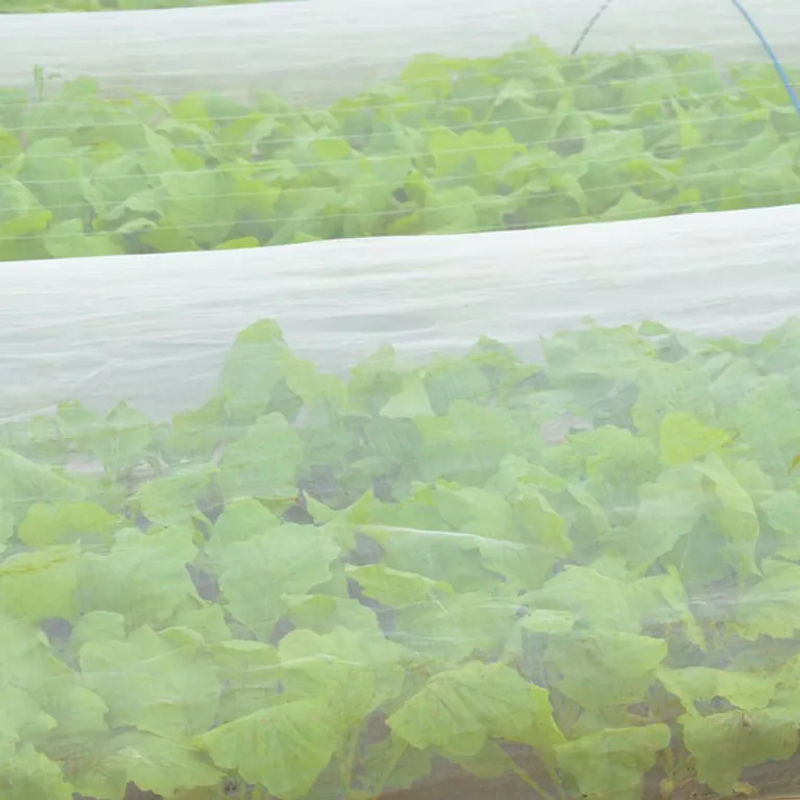 Weißes 60 Mesh Insektennetz für Garten und Gewächshaus als Pflanzenschutz und Vogelschutznetz zur Schädlingsbekämpfung - Bild 5