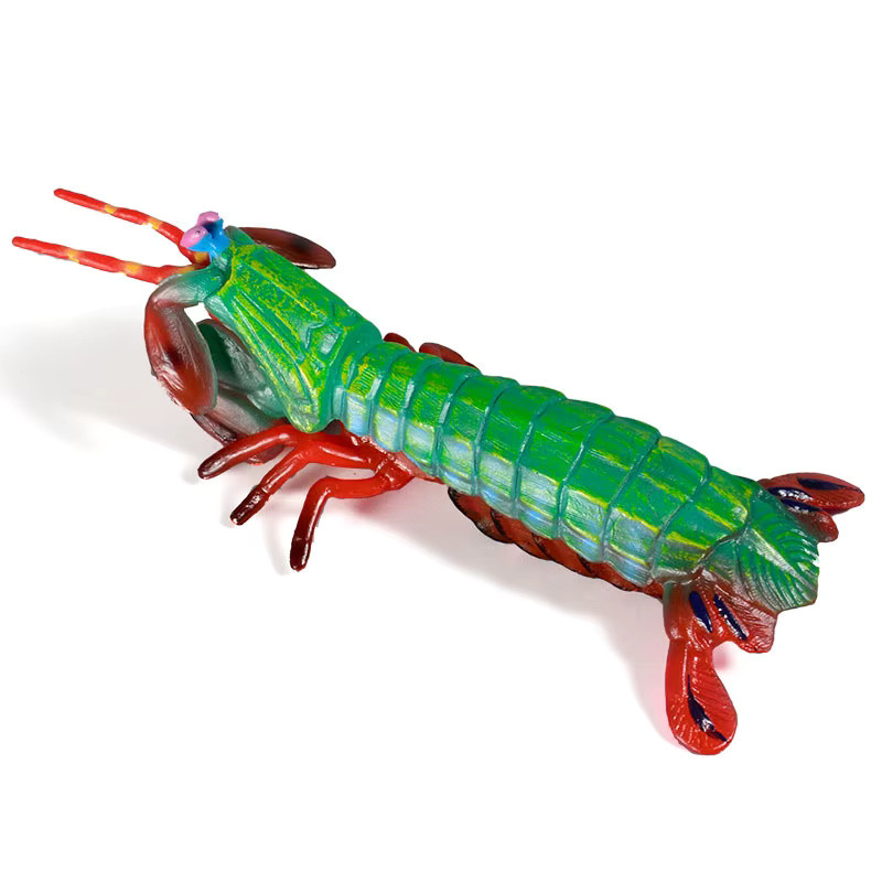 XIALIBAOMOWAN Mantis Garnele, Actionfiguren, Meerestiere, Bunt, Kunststoff - Bild 3
