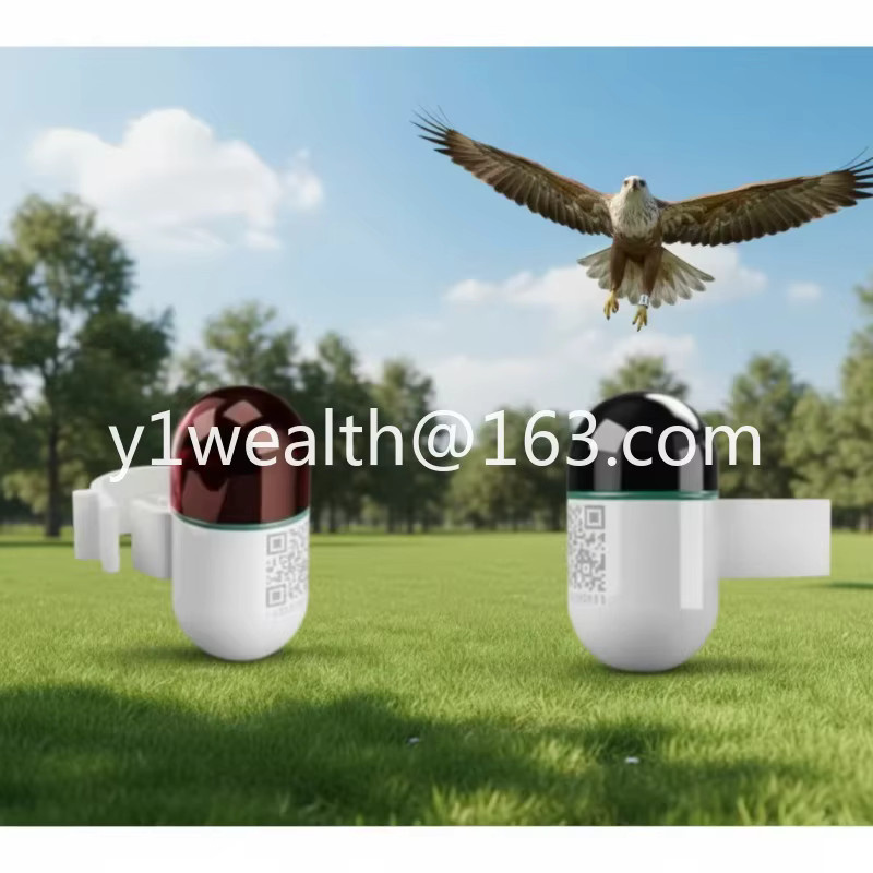 PWS Mini Echtzeit-GPS-Vogelortungsgerät als wasserdichter Taubenring mit 4G-Netzwerk in Weiß - Bild 2