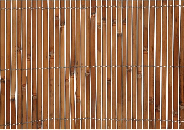 Floraworld Sichtschutz Schilfrohr Premium in Braun, B: 300 cm, H: 150 cm - Bild 1