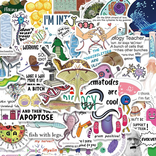 50 Stück Biologie Aufkleber Wasserdicht Cartoon Sticker für Laptop Gepäck und Telefon in Multicolour - Bild 1