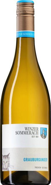 Winzer Sommerach Pinot Grigio Weißwein, 2025, Franken, halbtrocken, 0,75 l - Bild 1
