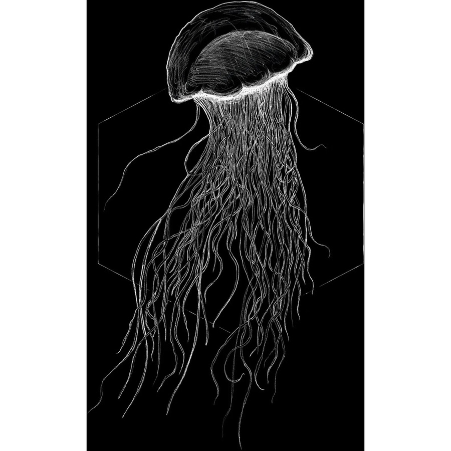 Komar Wandbild Jellyfish in Schwarz, Breite: 50 cm, Höhe: 70 cm - Bild 2