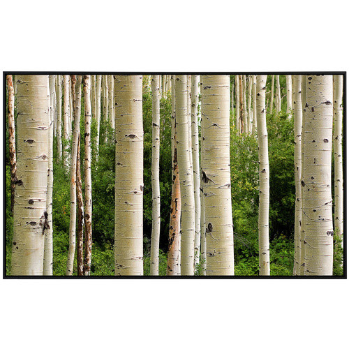 papermoon Infrarotheizung EcoHeat Aspen Woods mit Matt-Effekt in Bunt, App-Steuerung und Überhitzungsschutz - Bild 2