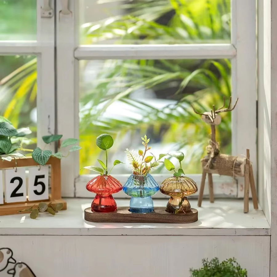 Glasseam Pilz-Pflanzenvermehrungsstation mit Glasvasen und Holzständer, hydroponisches Pflanzgefäß für Zuhause und Büro, transparent - Bild 5
