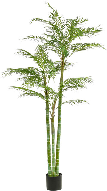 Künstliche Areca Palme Paolo von Aplanta, Höhe: 195 cm - Bild 1