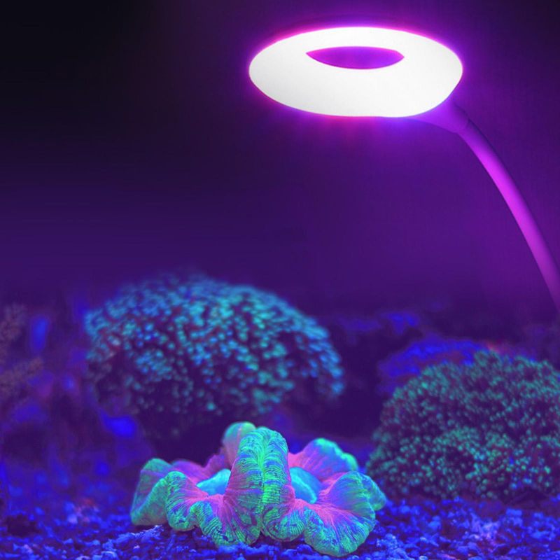 CosyHome USB LED Pflanzenwachstumslampe für Aquarium und Wasserpflanzen, weiß, einstellbar - Bild 4
